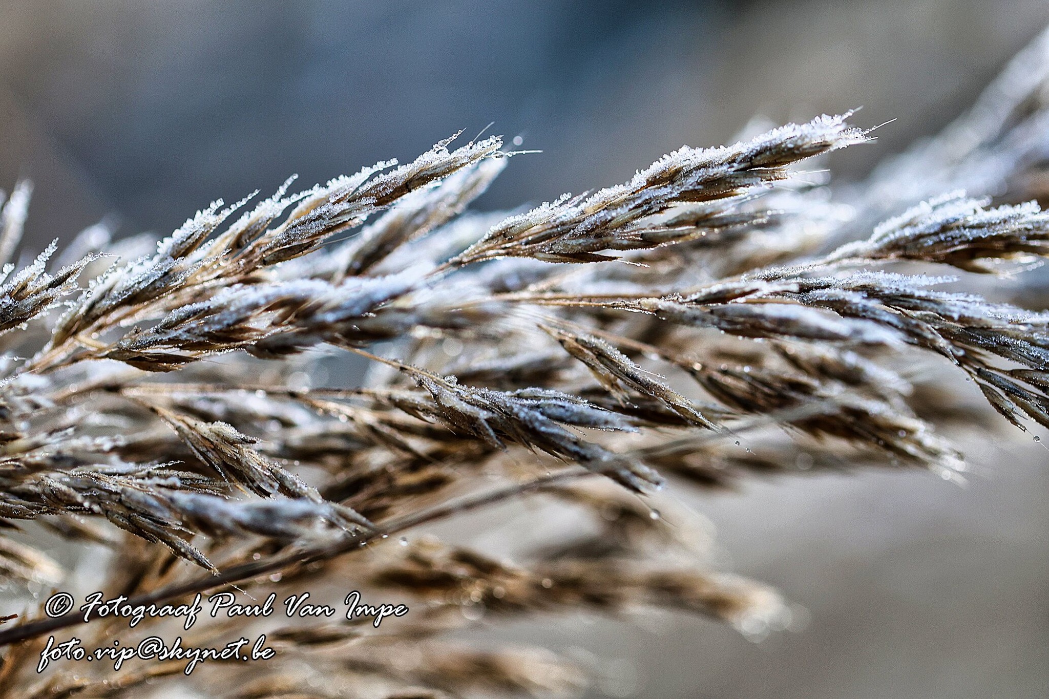 Natuur 2
