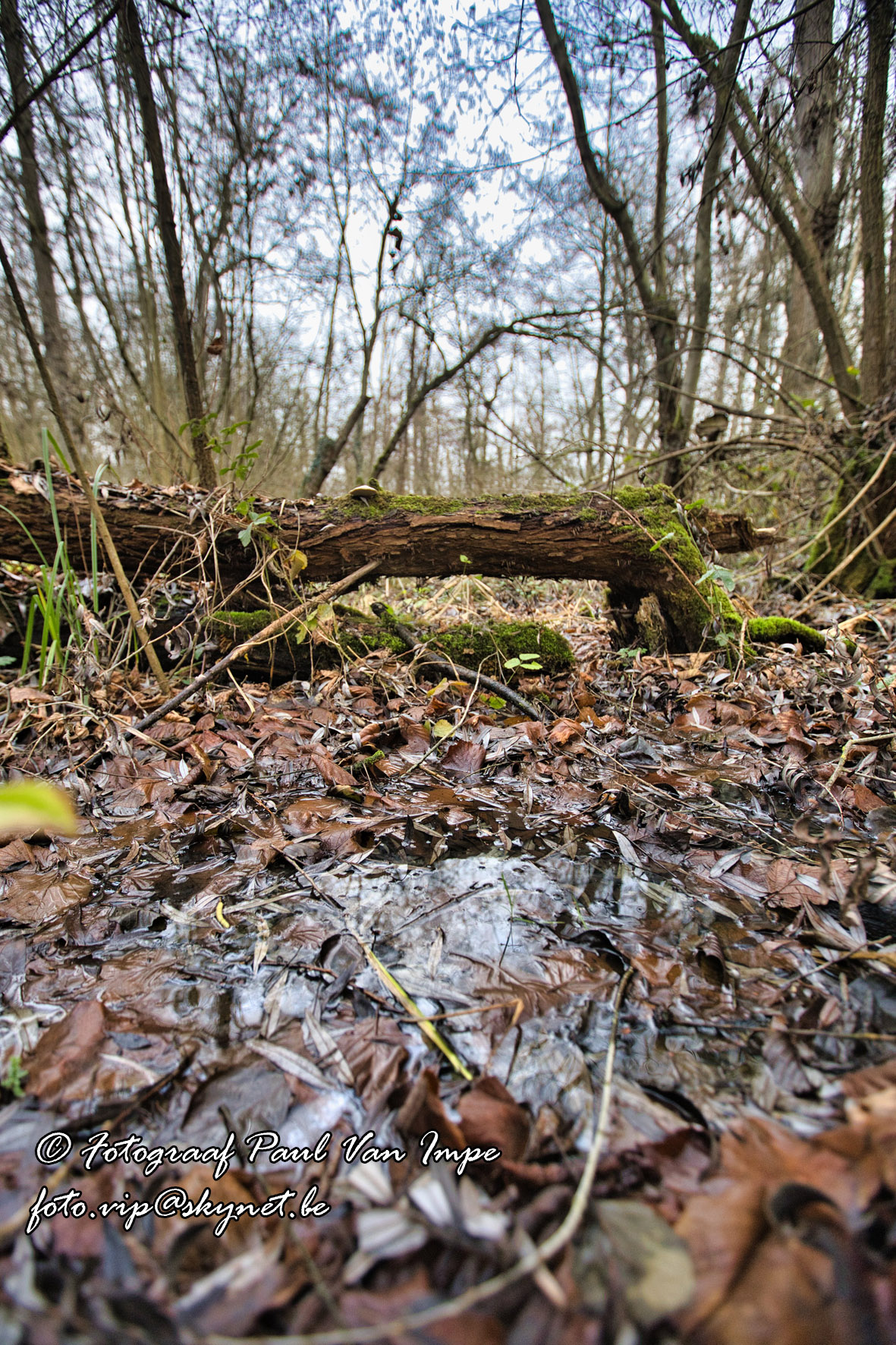 Natuur 3